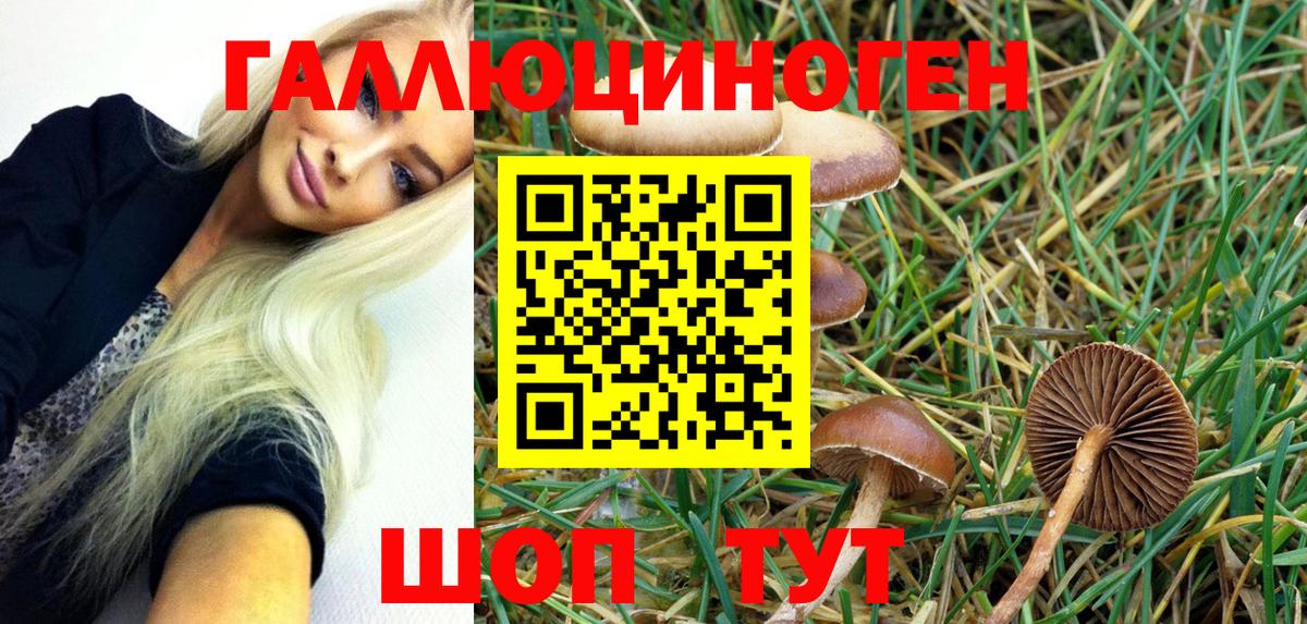 Йошкар-Ола  магазин  наркотиков  Псилоцибиновые грибы GOLDEN TEACHER  Вход с VPN  Псилоцибиновые грибы MAGIC MUSHROOMS 